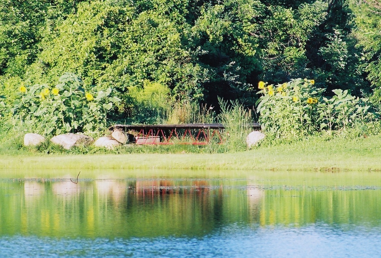 Reimagining Life after Loss Jai Pausch’s Dream New Dreams Swenson