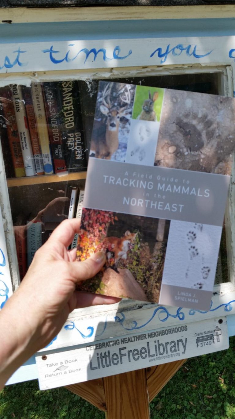 Take a Book, Leave a Book Swenson Book Development